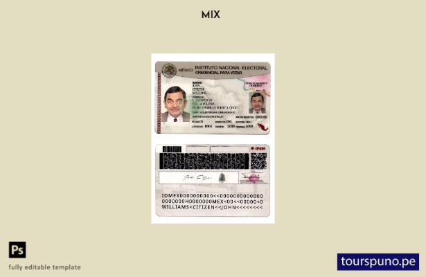 plantilla lista para imprimir del instituto nacional de México (versión )